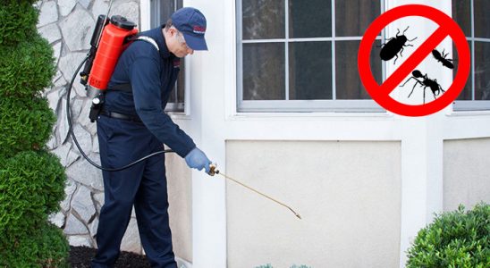 Evka 5 Kemirgen İlaçlama böcek ilaçlama ve haşere kontrolü — ilaclama-tr.com
